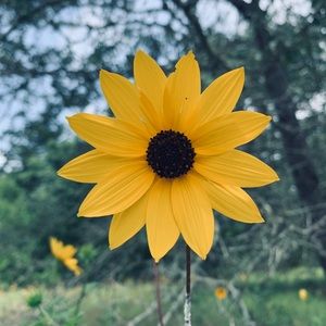 Meet your Posher, Fran